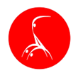 Logo Acro Clube da Maia