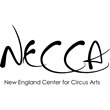 Logo NECCA